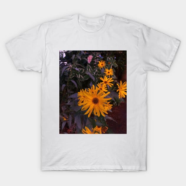 Daisy Dream T-Shirt by GhostFlowerDesigns